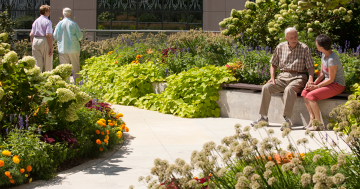 Hoerr Schaudt | At Greenbuild: Landscapes That Promote Health And…